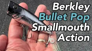 Berkley Bullet Pop Smallmouth Bass Topwater Test