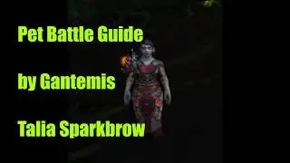 How to defeat Talia Sparkbrow pet battle