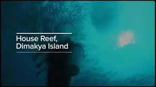 House Reef, Dimakya Island