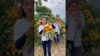 স্বাদে স্বাস্থ্য, প্রতিদিন থাকুক একটু ফল ✂️😋🍑🥭🍊🫐 #shorts #fruit #nature
