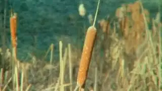 Please Murder Me for My Sins- Pill Friends