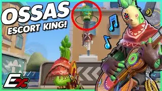 Pro Ossas Guide Will Help YOU Win Every Game on This Map! T3 Arena