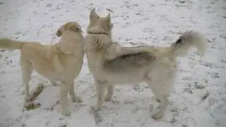 Tangstedt mit Flusie, Josys Mama