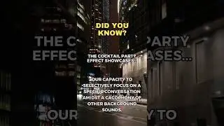 Cocktail Party Effect: Your Hidden Superpower of Selective Focus