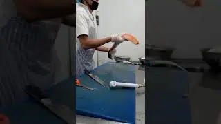 Making salmon skinless,boneless