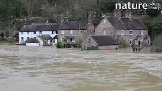 Houses flooded after Storm Ciara and Storm Dennis, Shropshire, England, UK, February 2020.