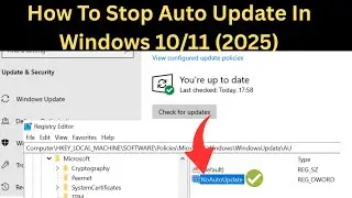 How To Stop Auto Update In Windows 10/11 (2025 Updated Steps✅)