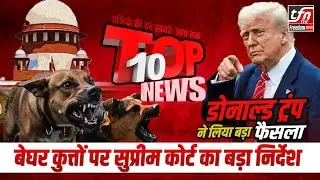 बेघर कुत्तों पर सुप्रीम कोर्ट का बड़ा निर्देश | Stray Dogs Shelter | The Freedom News