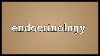 Endocrinology Meaning