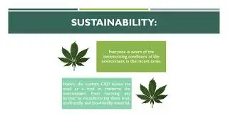 Customized Packaging For Cannabis - Custom CBD boxes - Go Printing Services, USA.