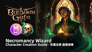 Baldur&rsquo;s Gate 3 Necromancy Wizard Guide & Build: Melee Tank Necrotic-Damage Mage. DnD Tips. 中文字幕