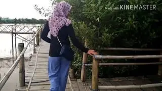 WISATA JOGJA - Hutan Mangrove Kulon Progo
