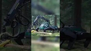 MONSTER Machine DEVOURS Trees Like Toothpicks! 😱 #shorts #viral