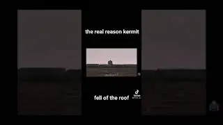 THE REAL REASON KERMIT FELL OFF THE ROOF