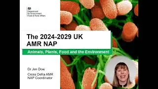 Stakeholder AMR NAP webinar