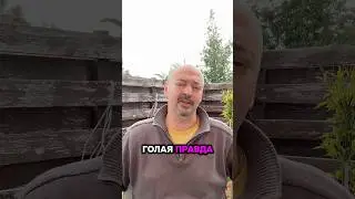 Голая правда. Что угрожает котам на Кипре?
