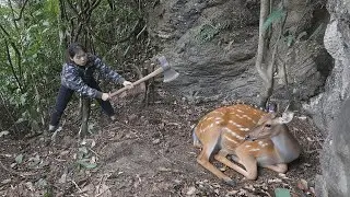 Tracking Wild Deer Footprints and Building a Natural Trap | Alone Survival in the Forest