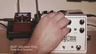 Slavaġiżmu - EHX Black Russian Muff and Paul Cochrane Timmy Clone Bass Demo
