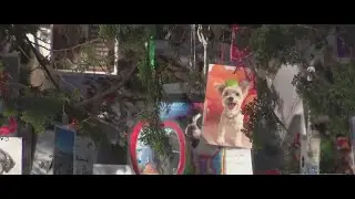 A secret Christmas tree in Central Park is honoring cherished pets