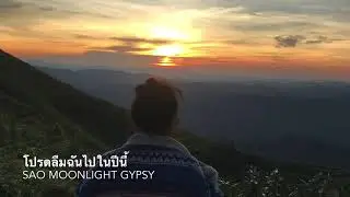 โปรดลืมฉันไปในปีนี้ : Sao Moonlight Gypsy