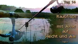 Ansitz auf Raubfisch | Tag 14 | Aal | Hecht | Zander | Vlog