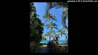 [free for profit] oodaredevil + mingo + surf type beat 