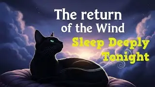 The return of the wind. Sleep Story, RAIN 🌧️  Ambience for Calm (bedtime story)