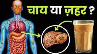 चाय के नुकसान | Tea Benefits and side effects in hindi #trendingvideo #viralvideo #factifiedjayesh