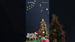 Christmas Eve | SVAM International