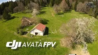 DJI Avata ! reflexes & powerloop