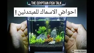 احواض اسماك الزينة للمبتدئين !