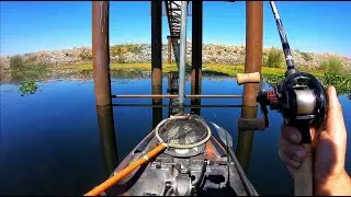 Осенняя рыбалка на окуня в дельте Калифорнии