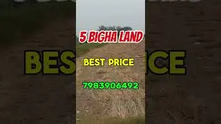 5 Bigha Agricultural Land, Near Amroha City (UP)