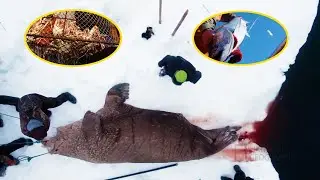 The Hardy Life Of Alaska Natives, Hunting Walruses, Fishing For Tuna And King Crabs!