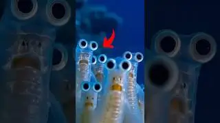 4 Unbelievable Animal Hybrids That Actually Exist 😱