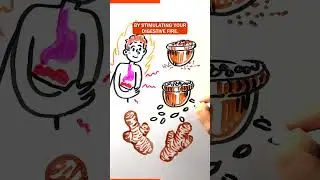 Why Spices Are More Than Flavor &ndash; Ayurveda&rsquo;s Healing Secret!