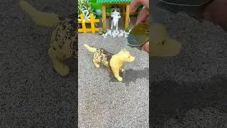 🐶 Dirty Dog Washing with Mini Water Pump 💦 | Real Working DIY Model | #shorts #youtubeshorts