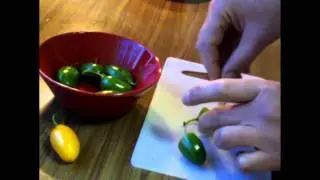 Video 4: Poor frost damaged chili plant 