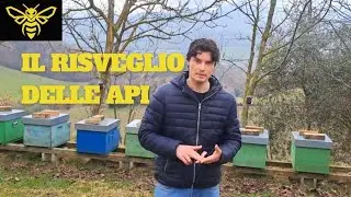 COVATA API IN RIPRESA: COSA PUÒ ANDARE STORTO A FINE INVERNO!