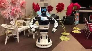 Выставка HRM Expo Holiday Inn Аренда Робот Мода #выставка #аренда #робот #hrmexpo www.robotmoda.ru