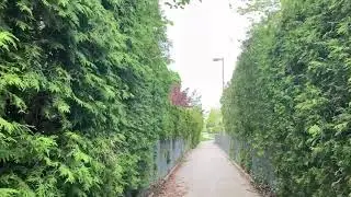 Reflection WALK