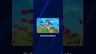 Contour Detection