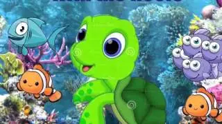 How To Protect The Coral Reefs
