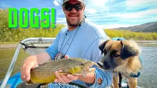 How To Fly Fish w/ your DOG!