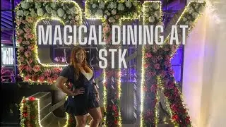 Taste the Magic: STK Orlando's Exquisite Dining Experience