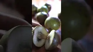 Kenitu Fruit: The Tropical Star Fruit You've Never Heard Of
