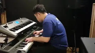 [piano cover] hayashibara megumi - shining girl! (instrument)