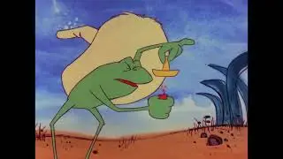 Tijuana Toads
