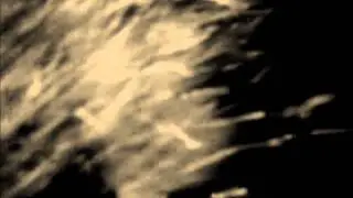 The Bug - Catch a fire