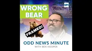 California trap catches the wrong bear, speeding horse vs. mailbox